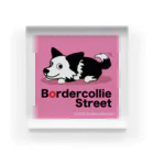 Bordercollie StreetのAB-BSC16 ボーダーコリー Acrylic Block