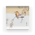 MUGEN ARTの小原古邨　桜と鳥　Ohara Koson 日本のアートTシャツ＆グッズ アクリルブロック