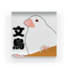 霜影/こしょうの猛者感溢れる白文鳥 アクリルブロック