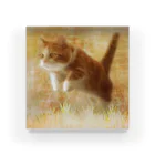 MUYU /  Animal ArtistのMemories with my pet 10 Acrylic Block