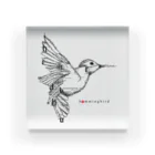 t-shirts-cafeのフォントイラストレーション『hummingbird（ハミングバード・ハチドリ）』 Acrylic Block