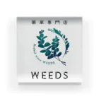 薬草専門店WEEDSのスタンダードロゴ アクリルブロック