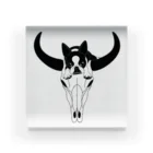 コチ(ボストンテリア)の小物用:ボストンテリア(牛の頭蓋骨)[v2.8k] アクリルブロック