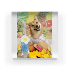 柴犬グッズ専門店 あられ堂の柴犬　真夏のリゾート001 Acrylic Block