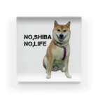 SHIBAOOOOOのNO,SHIBA NO,LIFE 柴生くん アクリルブロック