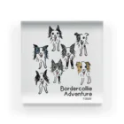 Bordercollie StreetのBCA709-5 Acrylic Block