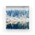 Let's Go for a Walkのwhite forest Acrylic Block