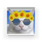 mechaの夏を満喫する猫 Acrylic Block
