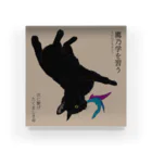 猪猫の鷹乃学を習う　おもちゃを捕まえた黒猫仔猫 Acrylic Block