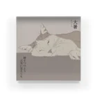 猪猫の大暑　夏バテ気味のハチワレ猫 Acrylic Block