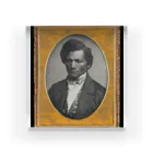 Art Institute ChicagoのFrederick Douglass, 1847/52 | Samuel J. Miller Acrylic Block