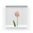 Resembles a floristのtrp.p Acrylic Block