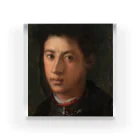 Art Institute ChicagoのAlessandro de' Medici, 1534/35 | Pontormo, (Jacopo Carrucci) Acrylic Block