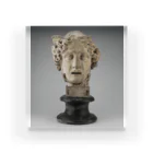 Art Institute ChicagoのHead of Medusa, c. 1801 | Antonio Canova Acrylic Block