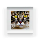 gatto solitario(物寂しげな猫)のドアップな猫！ Acrylic Block