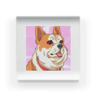 まさのお店の人懐こい犬 Acrylic Block