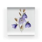 Atelier Petrichor Forestのキキョウ Chinese bellflower Acrylic Block