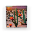 ワンダーワールド・ワンストップの夕暮れの砂漠に咲く多彩なサボテン④ アクリルブロック