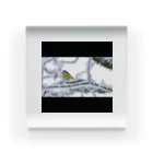 Zeceの冬の鳥 Acrylic Block