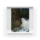 Rei MillerのWinter Cat Acrylic Block