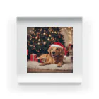 yumena_のクリスマスを満喫する犬 Acrylic Block