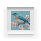 ❤︎cute❤︎のbeautiful blue bird Acrylic Block