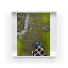 moon💎✨の「苔路散歩🌿🍃」の写真📷 アクリルブロック