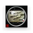 G-HERRINGの石狩湾 鰊（ニシン；HERRING）（Japan）生命たちへ感謝を捧げます。 アクリルブロック