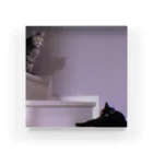 dishの階段の猫 アクリルブロック