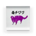 うちの犬ちゃんショップのうちの毒チワワちゃん アクリルブロック