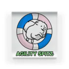 ehime@けだま&もち＆すみのAGILITY SPITZ「ぴょ〜んと飛ぶよ」 アクリルブロック