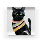 幸運のしっぽの黒猫と虹の首輪 アクリルブロック