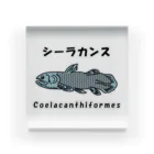 かいほう屋のシーラカンス / Coelacanthiformes アクリルブロック