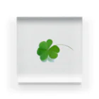 tricolore studio*のclover* Acrylic Block