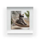 ryusky_333のサングラスをかけている猫がハンモックでくつろいでいる。 アクリルブロック