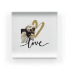 21841のLOVE マヨくん Acrylic Block