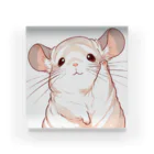 もふっとチンチラ🐭のおてあげチンチラ Acrylic Block