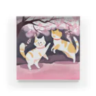 Shironekokuuの桜で遊ぶ犬と猫 Acrylic Block