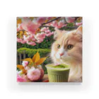 猫と紡ぐ物語の春の訪れを告げる桜満開 Acrylic Block