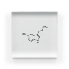 シンプルなケミカルたち。の精神安定 セロトニン（ブラック）Serotonin（Black） Acrylic Block