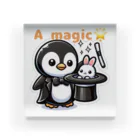 tsukino-utenaのおめかしPenguin、魔法使いになる。 Acrylic Block