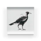 ９番目のMAGPIE Acrylic Block