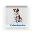 29chanのkoikerhondier犬 Acrylic Block