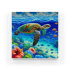 日本の風景 COOL JAPANの日本の風景:沖縄渡嘉志久ビーチの泳ぐ海がめ、Japanese scenery: Sea turtle swimming at Tokashiki Beach, Okinawa Acrylic Block