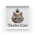 Twelve Catsの百獣の王 Acrylic Block