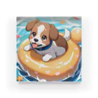 柴犬しばわんこhana873の海水浴してるワンコちゃん Acrylic Block