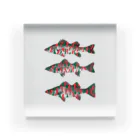 sakanaのatcq seabass Acrylic Block