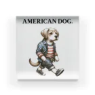 AMERICAN DOG.のAMERICAN DOG. Acrylic Block