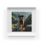 kokin0の山の麓にいる犬 dog top the mountain Acrylic Block