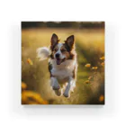 zigerparkのお花畑を駆ける犬 Acrylic Block